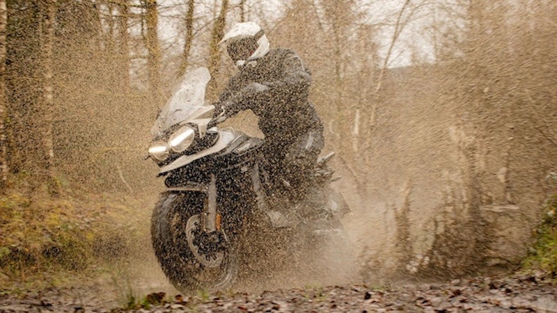 Triumph 5