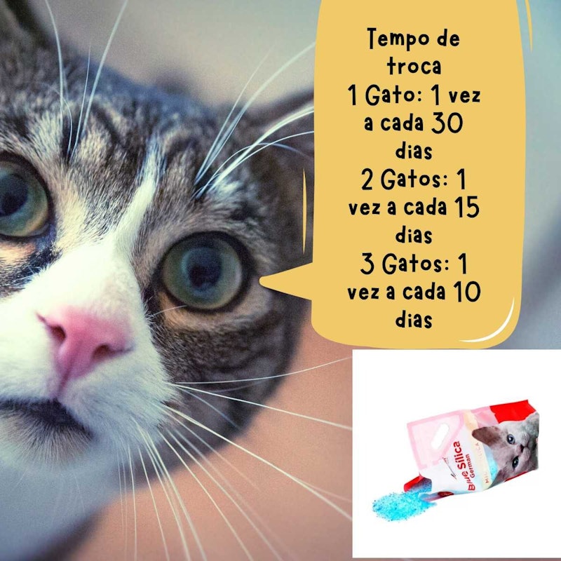 Areia Higiênica para Gato com Cristais de Sílica e Cristais Azuis Antiodor 5