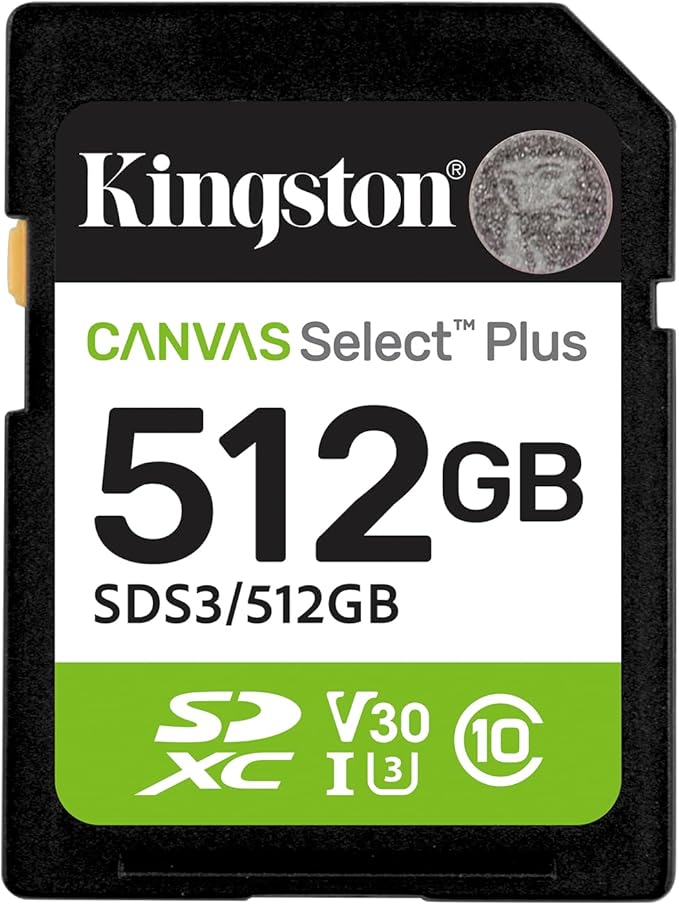 Cartão de Memória SD Canvas Select Plus 1