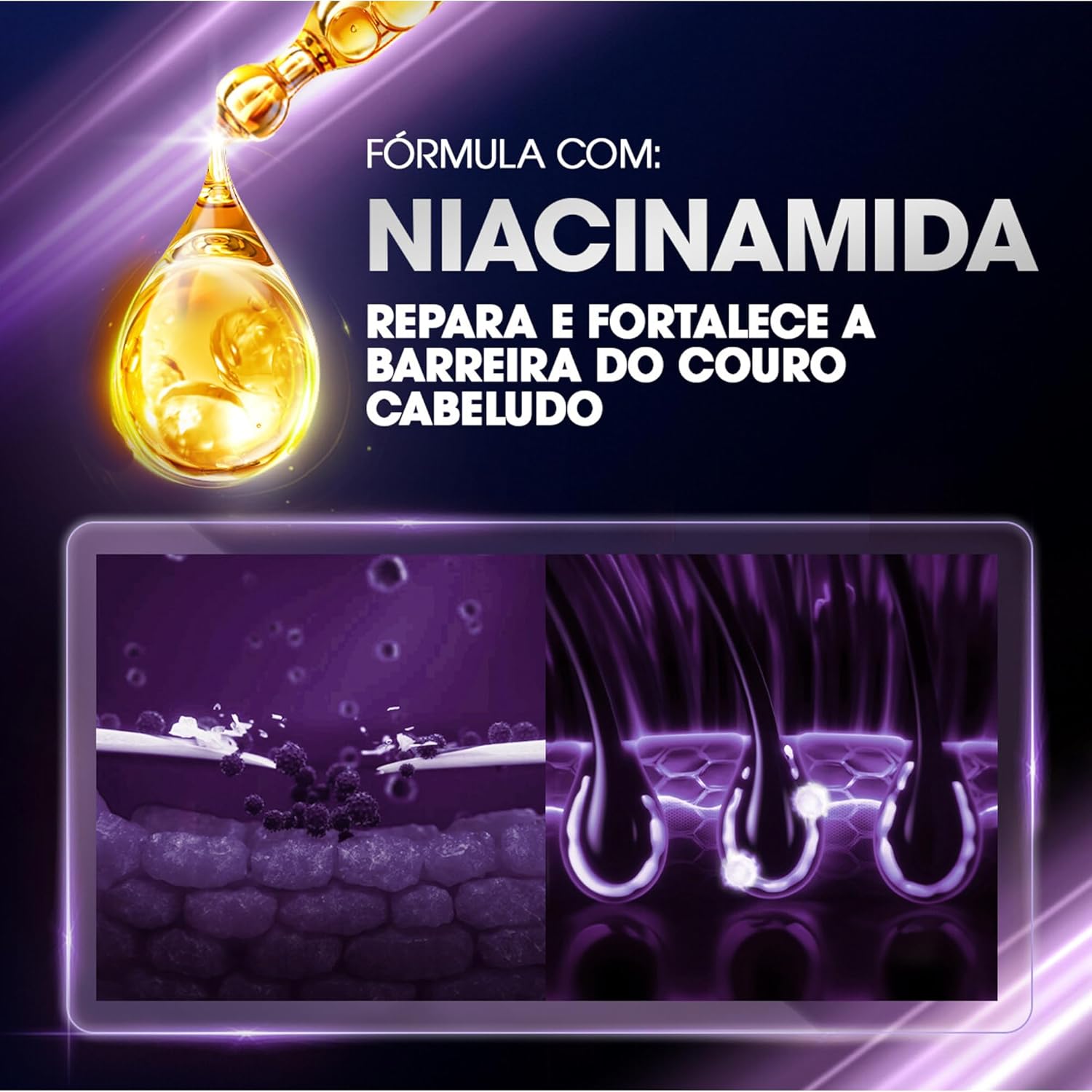 Shampoo Clear Hidratação Intensa Anticaspa  2