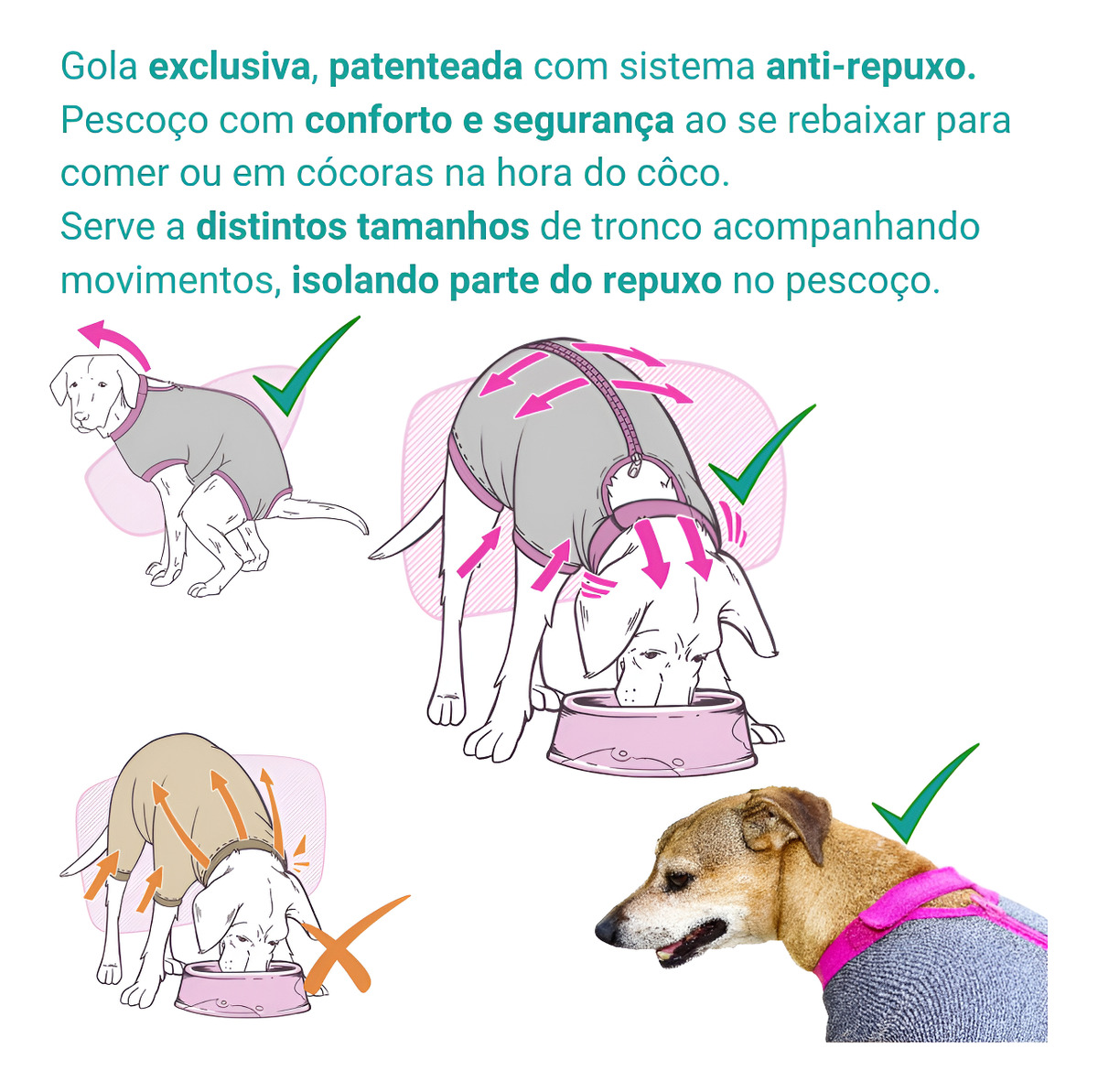 Roupa Pós-Cirúrgica Membro Posterior Pet Nº 7/8 10 a 17 kg 2