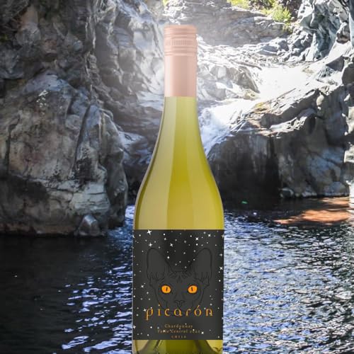 Picarón Chardonnay  3