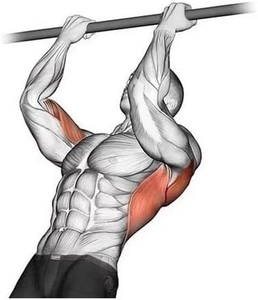 Barra Fixa Parede Crossfit Barra Fixa 3