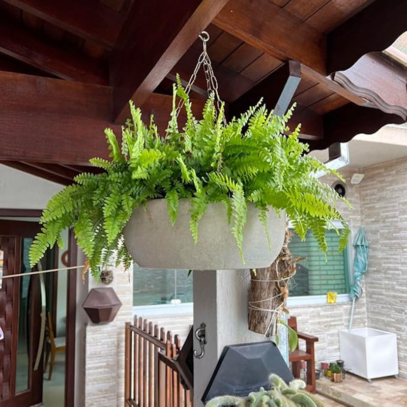 Vaso Planta Suspenso Bgplásticos 5