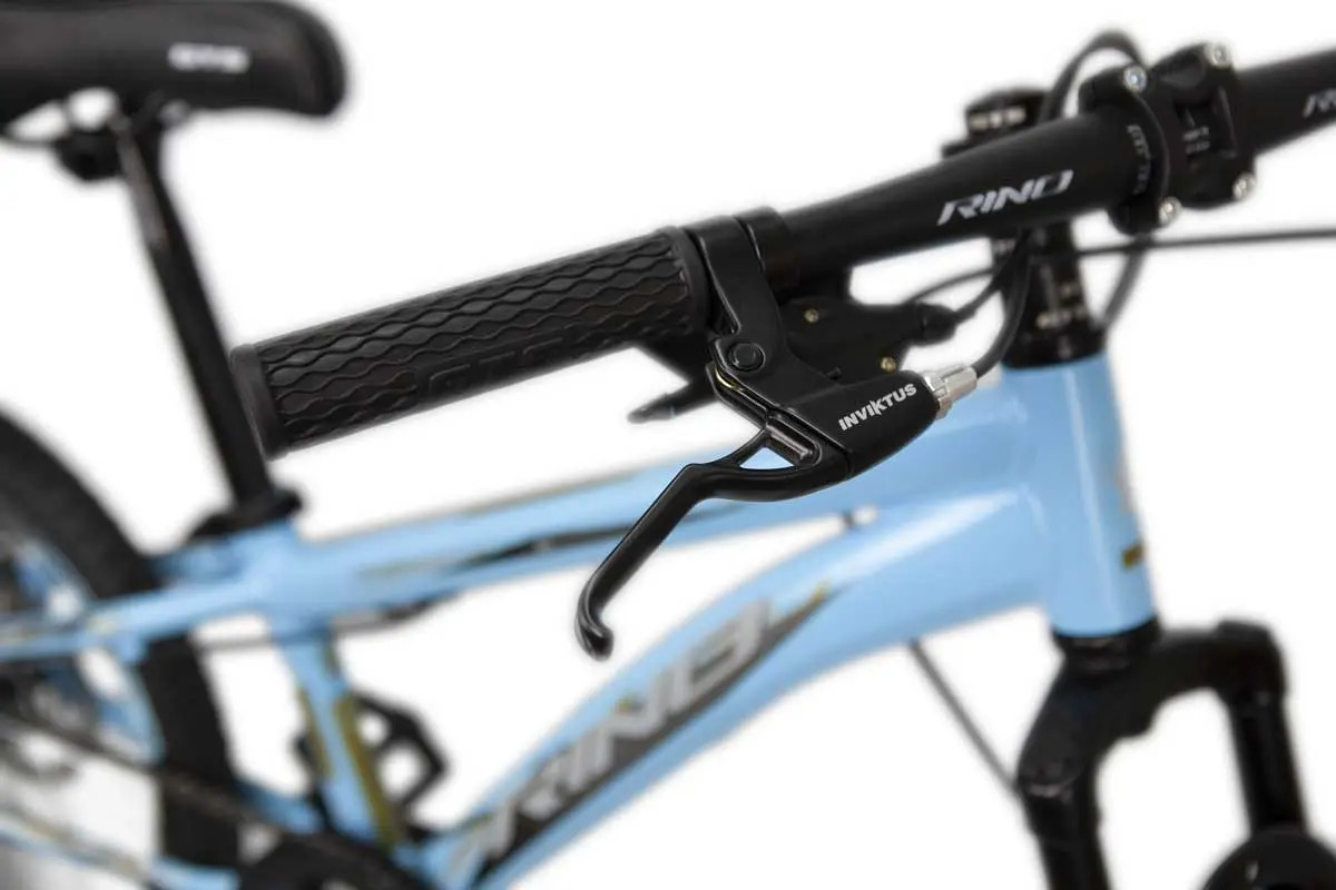Bicicleta Infantil Aro 20 Rino Everest 3