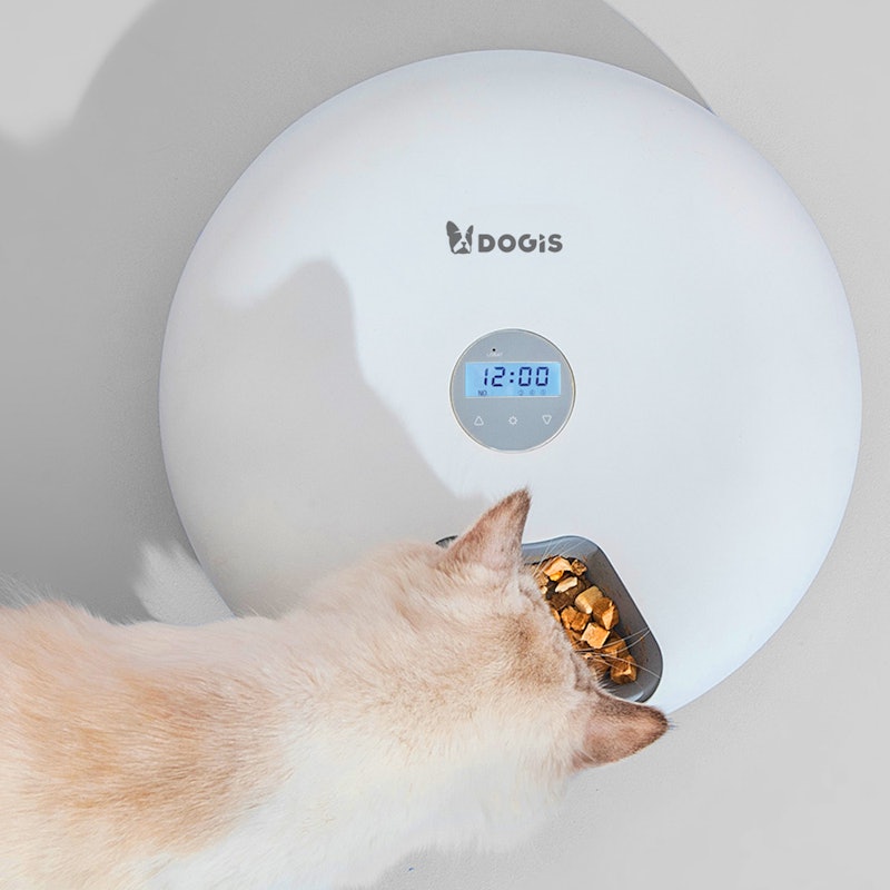 Comedouro Automático Pet Cachorro Gato Programador 5