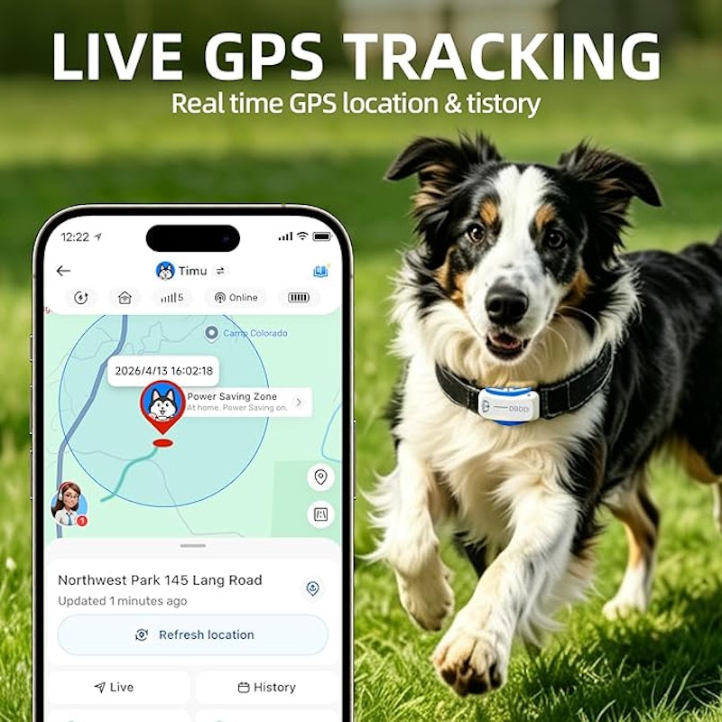 Coleira Rastreador GPS para Cães 4