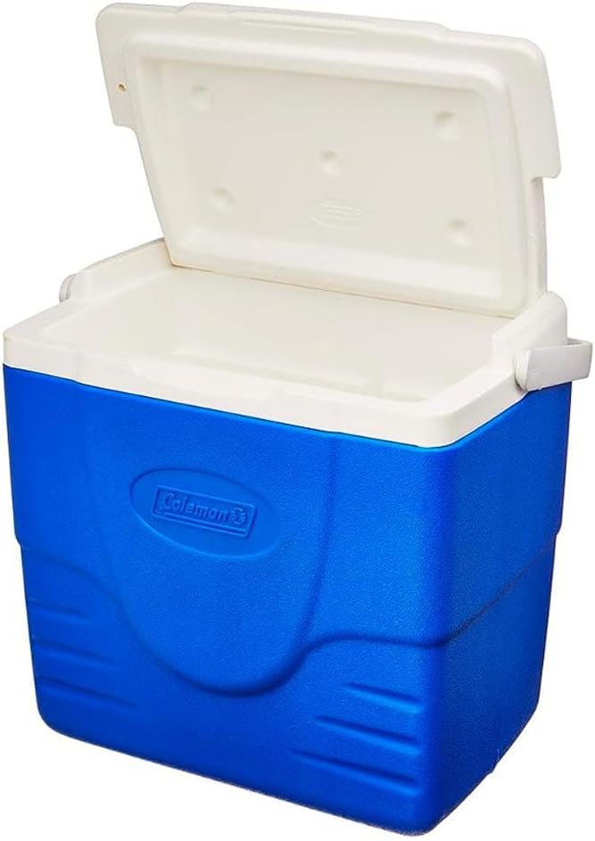 Caixa Térmica 15,1 L 4