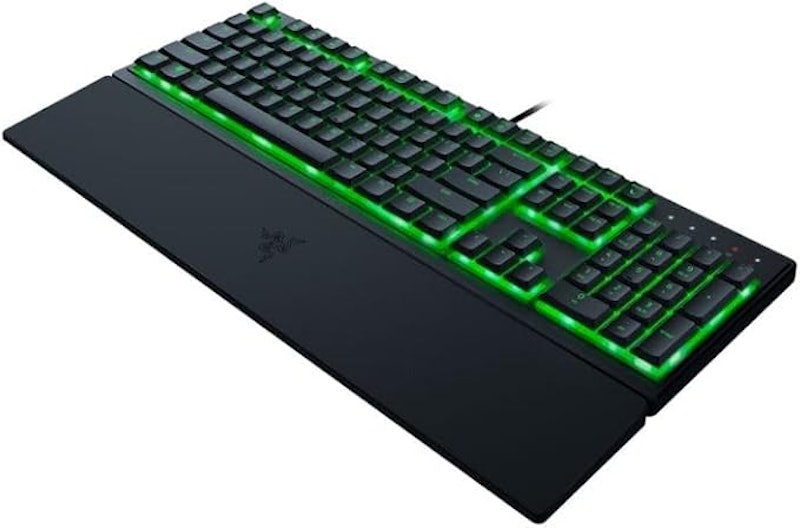 Ornata V3 X 1