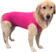 VANI PET Roupa Pós-Cirúrgica Pet para Castração de Cachorro Macho e Fêmea 1