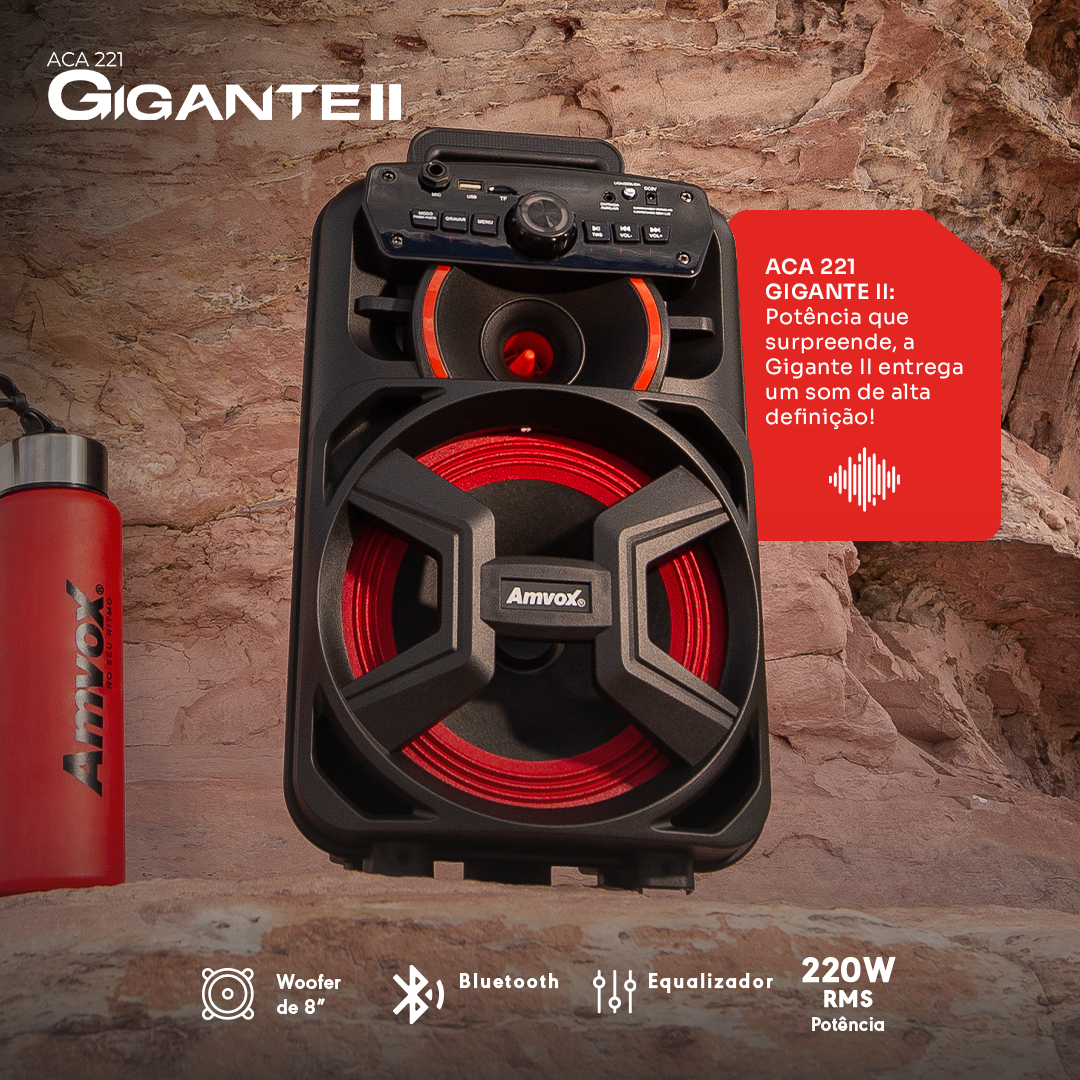 Caixa Amplificada ACA 221 GIGANTE II 3