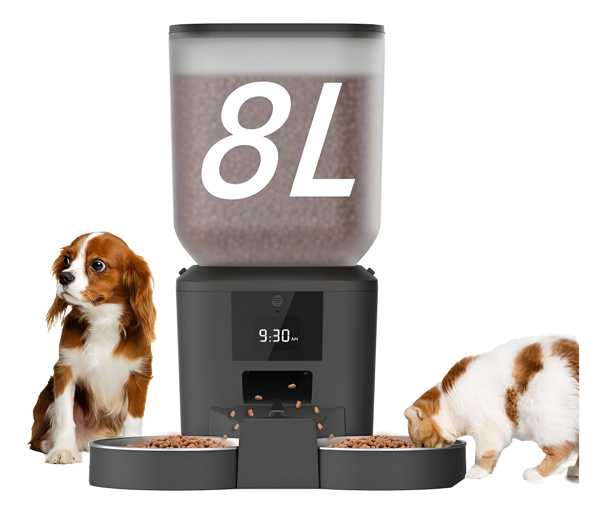 Alimentador Automático com Wi-Fi de Ração 1