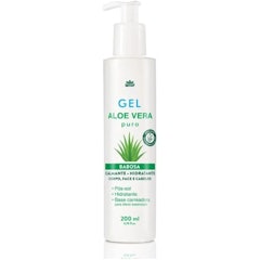 WNF Gel Aloe Vera