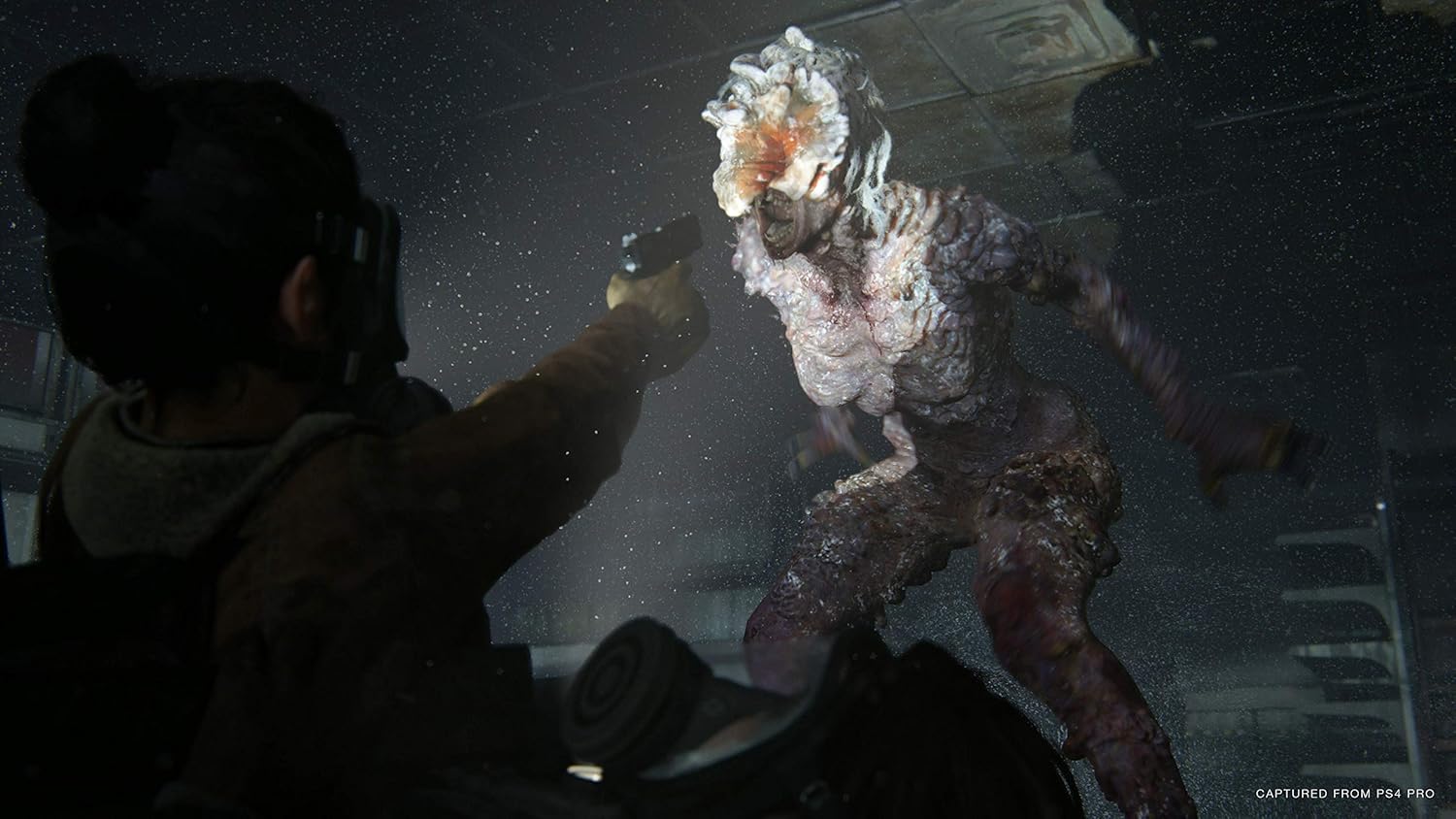 The Last of Us Part II (2020) 3