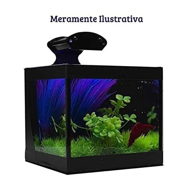 Betteira Aquabetta 2