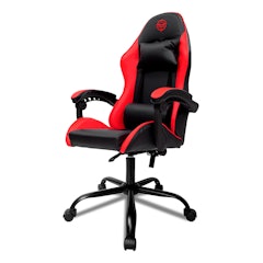 Cadeira Gamer TGT Heron TC