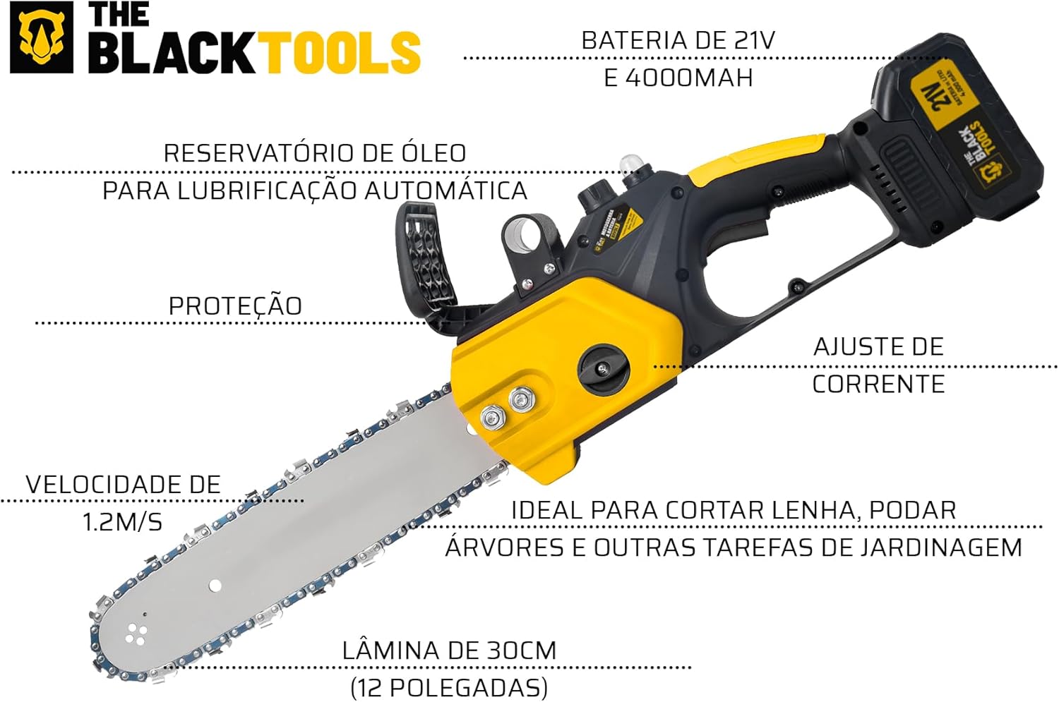 Moto Serra 21 V The Black Tools 2