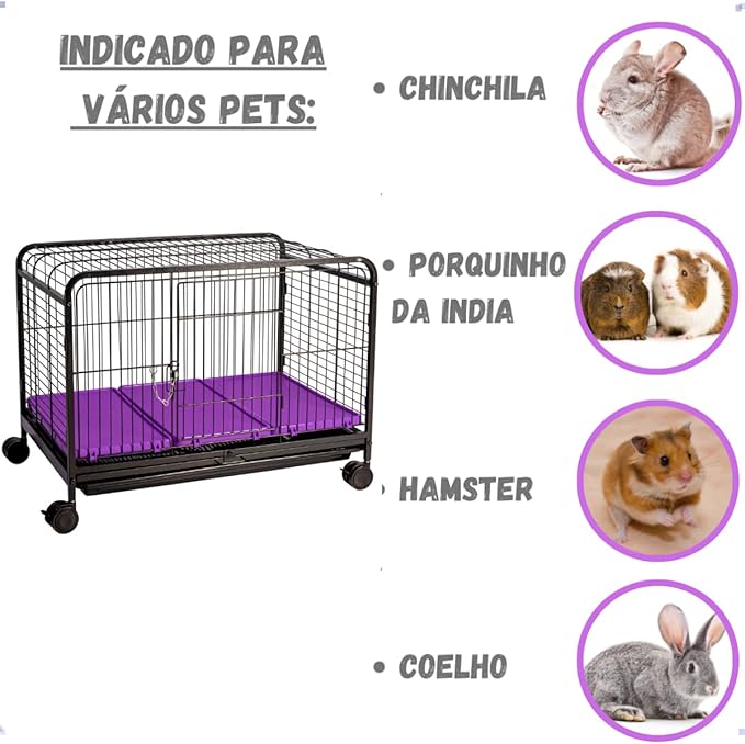 Leva Pet Grande 4