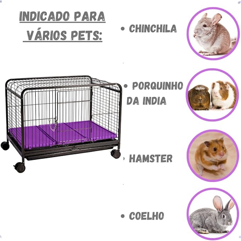 Leva Pet Grande 4