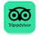 TRIPADIVASOR TripAdivasor 1