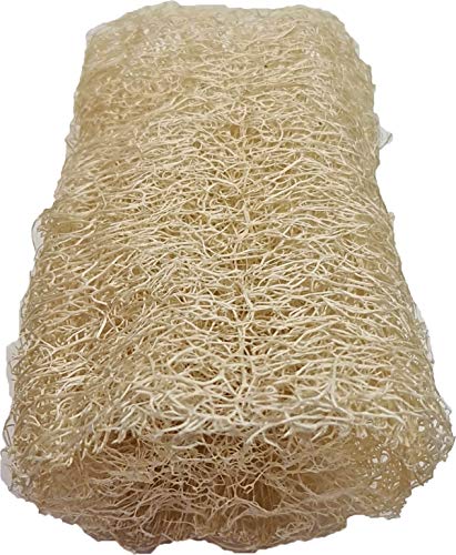 Bucha Vegetal 2