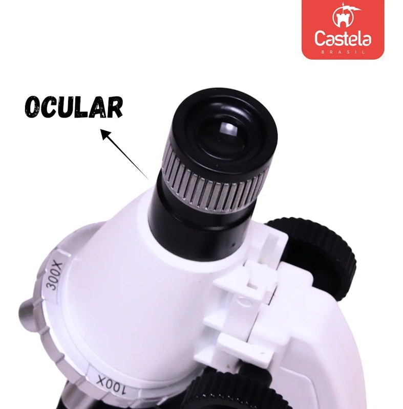 Microscópio 4
