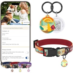 Coleira para Cães Time Series com Tag de Identificação QR