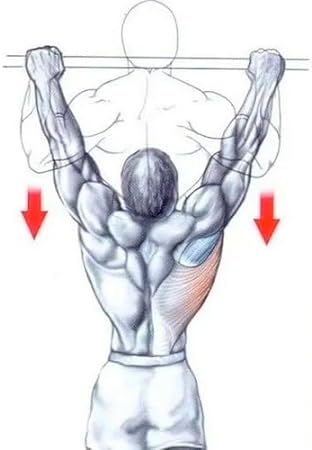 Barra Fixa de Parede p/Treinar Pull-up Musculação 3