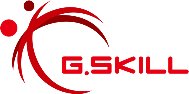 G.SKILL 1