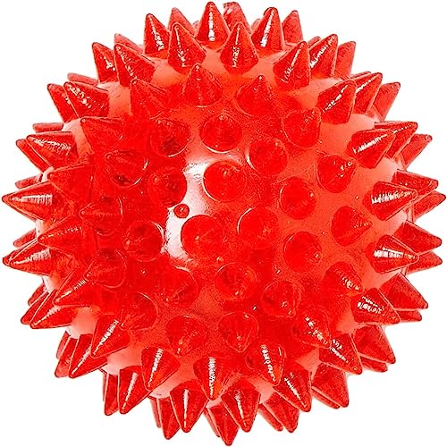 Bolinha para Cachorro com Espinhos Macios 4