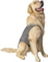 PET DESIGNER Roupa Pós-Cirúrgica Unissex para Cães Tam. 03 1