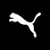Puma 1