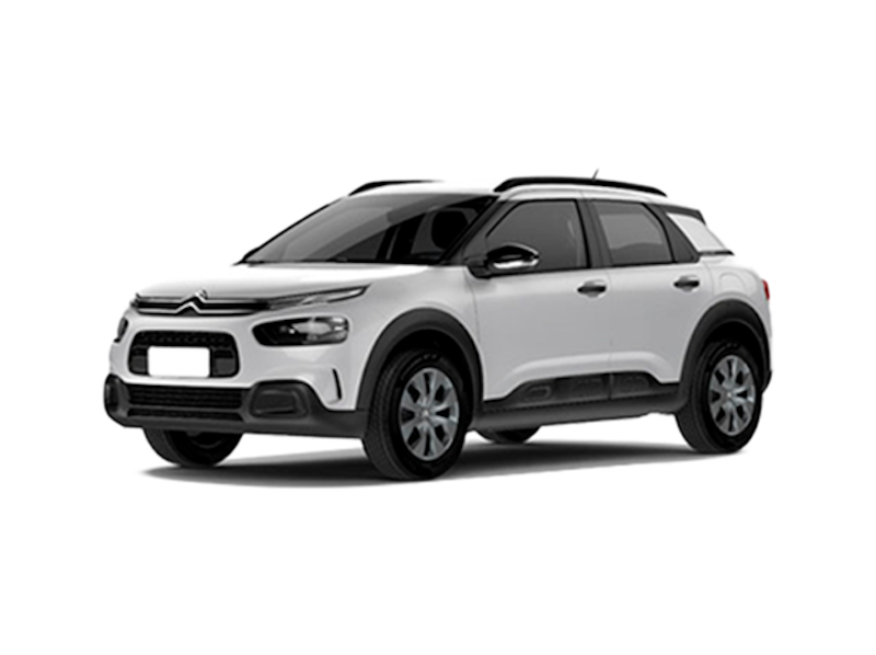 C4 Cactus 1