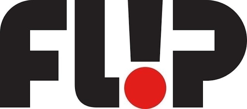 Flip Skateboards 1