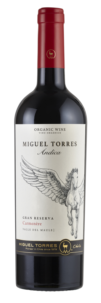 Miguel Torres 4