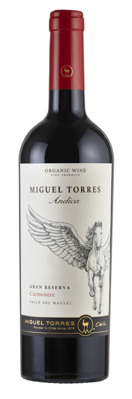 Miguel Torres 4