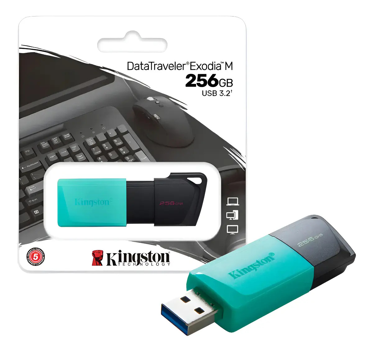 DTXM Pen Drive de 256 GB Exodia M 1
