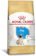 ROYAL CANIN Alimento Seco para Cães Pug Puppy 1