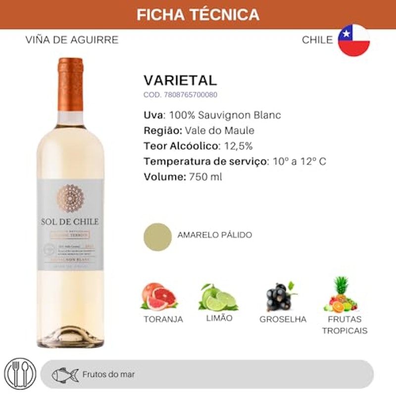 Sol de Chile Sauvignon Blanc 2
