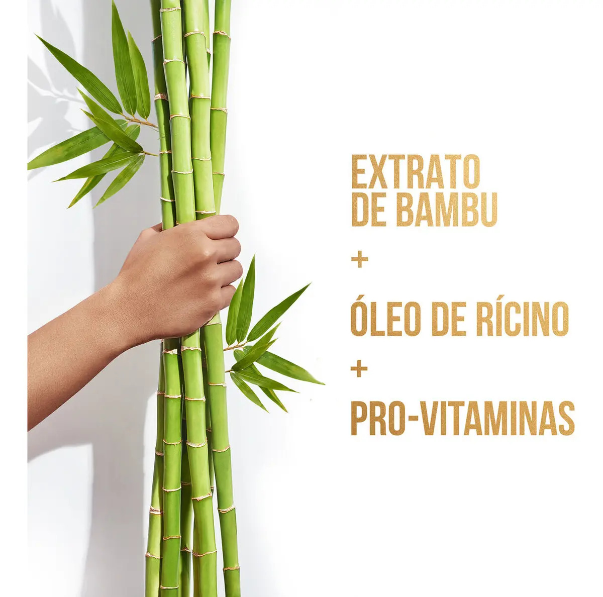 Shampoo Bambu Nutre e Cresce 5