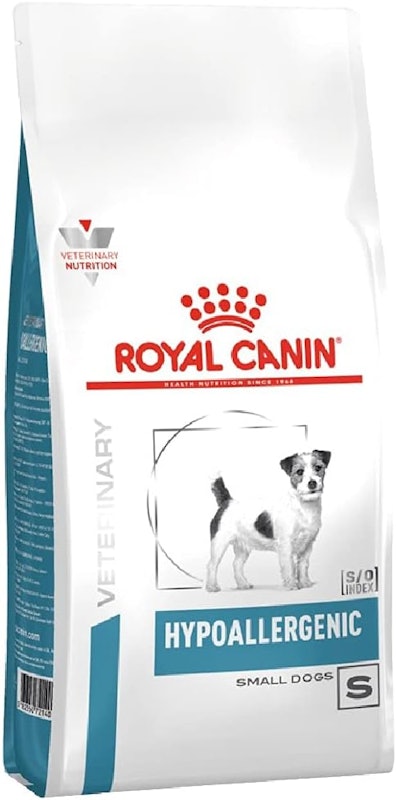 Hypoallergenic Small Dog 1