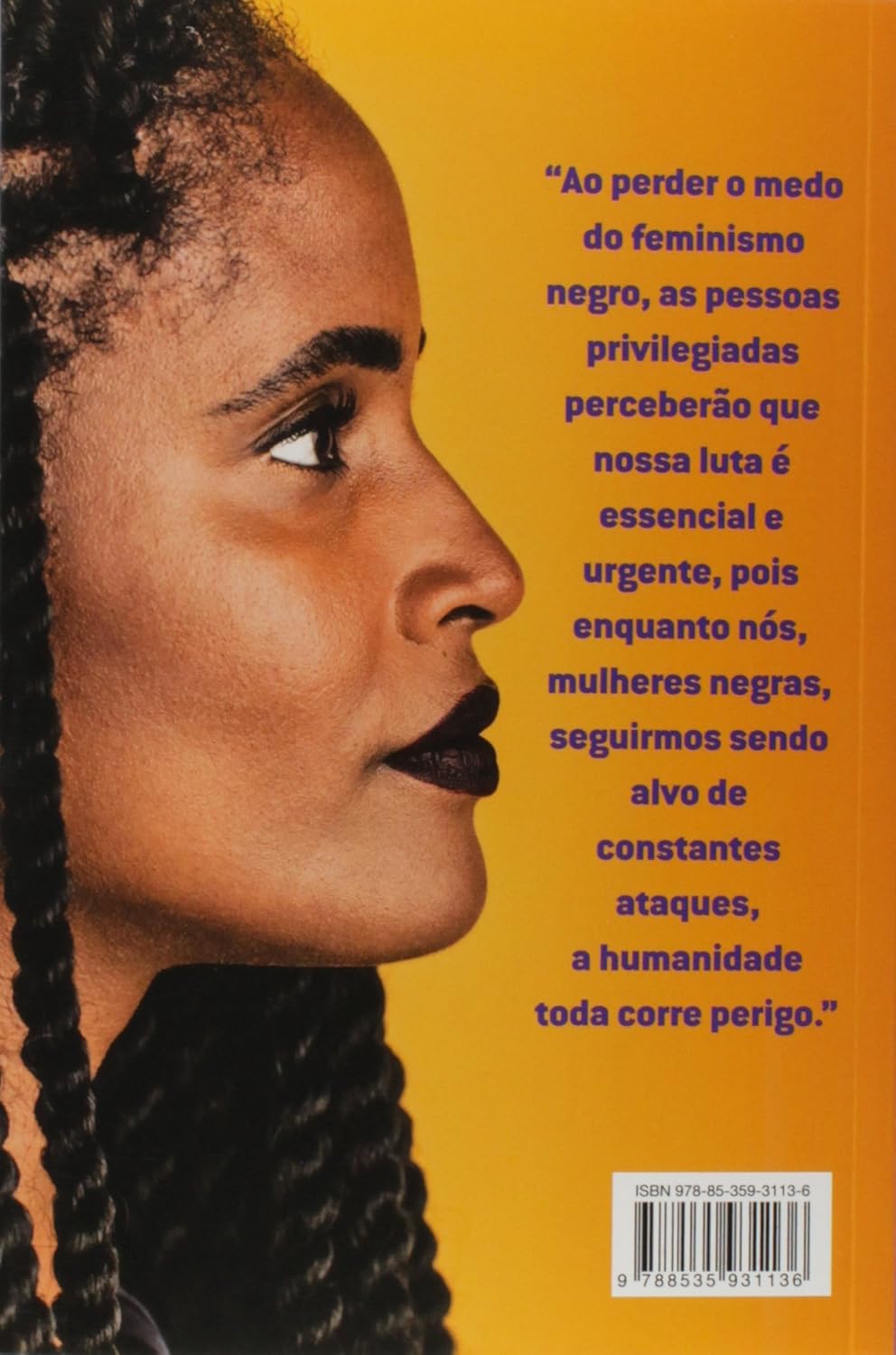 Quem Tem Medo do Feminismo Negro? 2