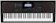 CASIO Teclado Casio 1