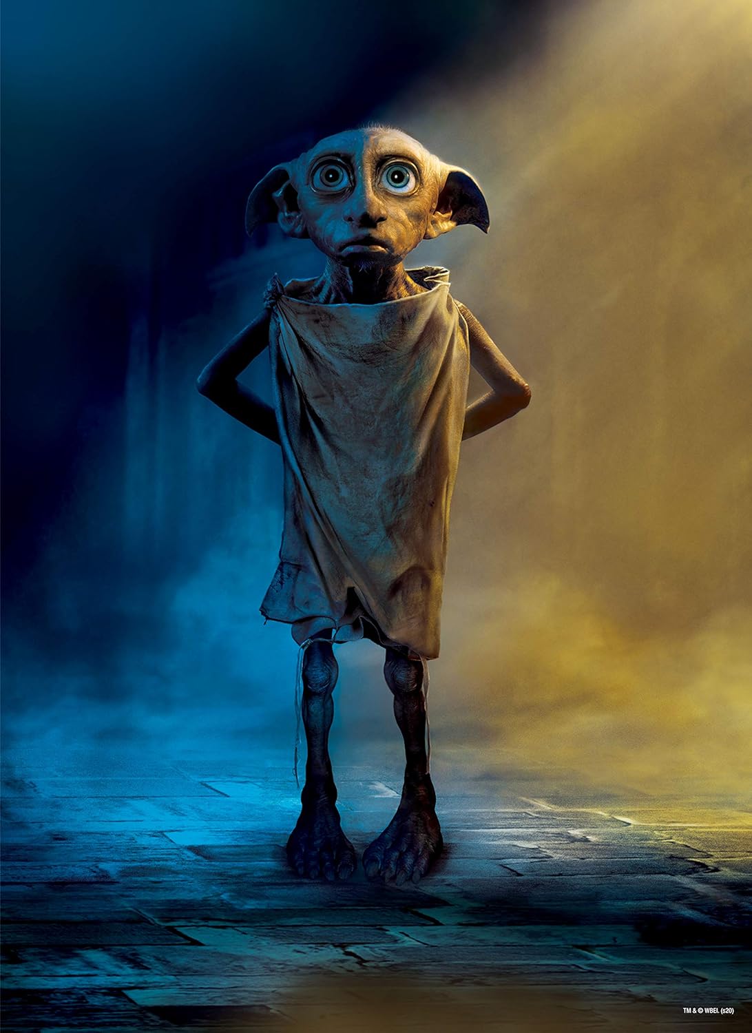 Quebra-Cabeça 1000 Peças Dobby 3