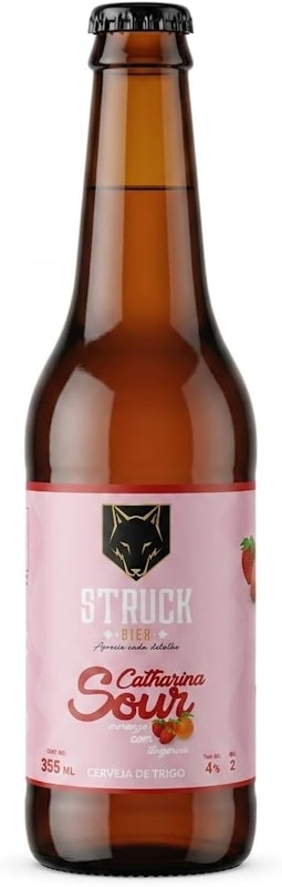 Cerveja Artesanal Catharina Sour 1