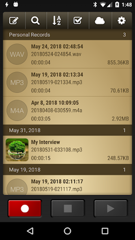 Voice Record Pro 3