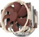 NOCTUA Cooler para Processador Noctua 1