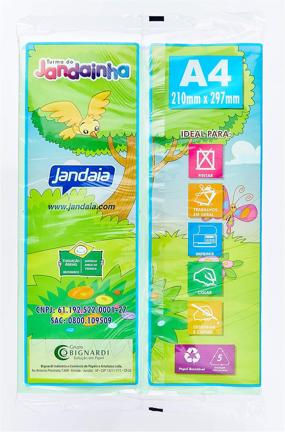 Papel Sulfite Jandainha A4, 4 Cores Pastel, 75 g, 100 Folhas 3