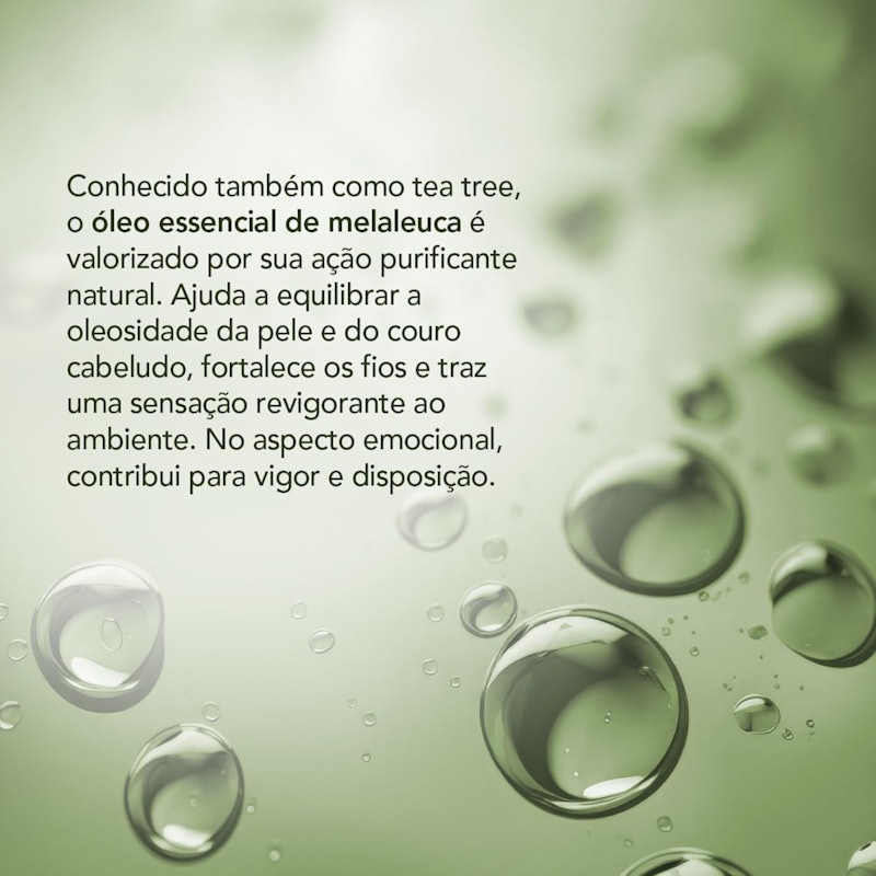 Óleo Essencial de Melaleuca (Tea Tree) 3