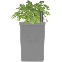 Vaso Plástico Autoirrigável